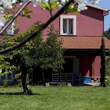 Agriturismo Campoletizia Miglianico Exteriér fotografie