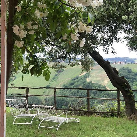 Agriturismo Campoletizia Miglianico Exteriér fotografie