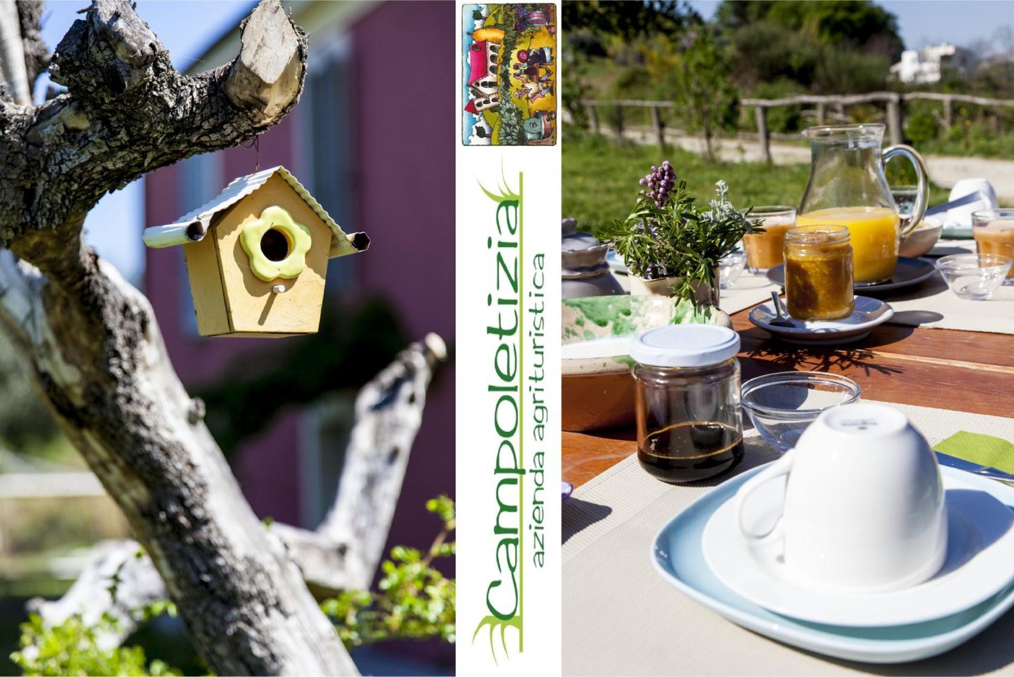Agriturismo Campoletizia Miglianico Exteriér fotografie