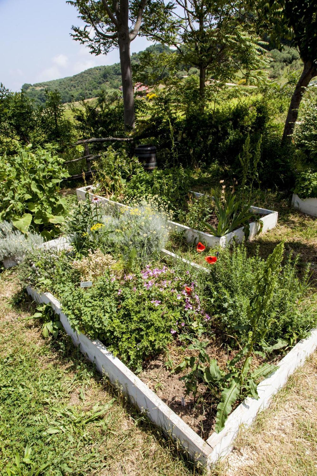 Agriturismo Campoletizia Miglianico Exteriér fotografie