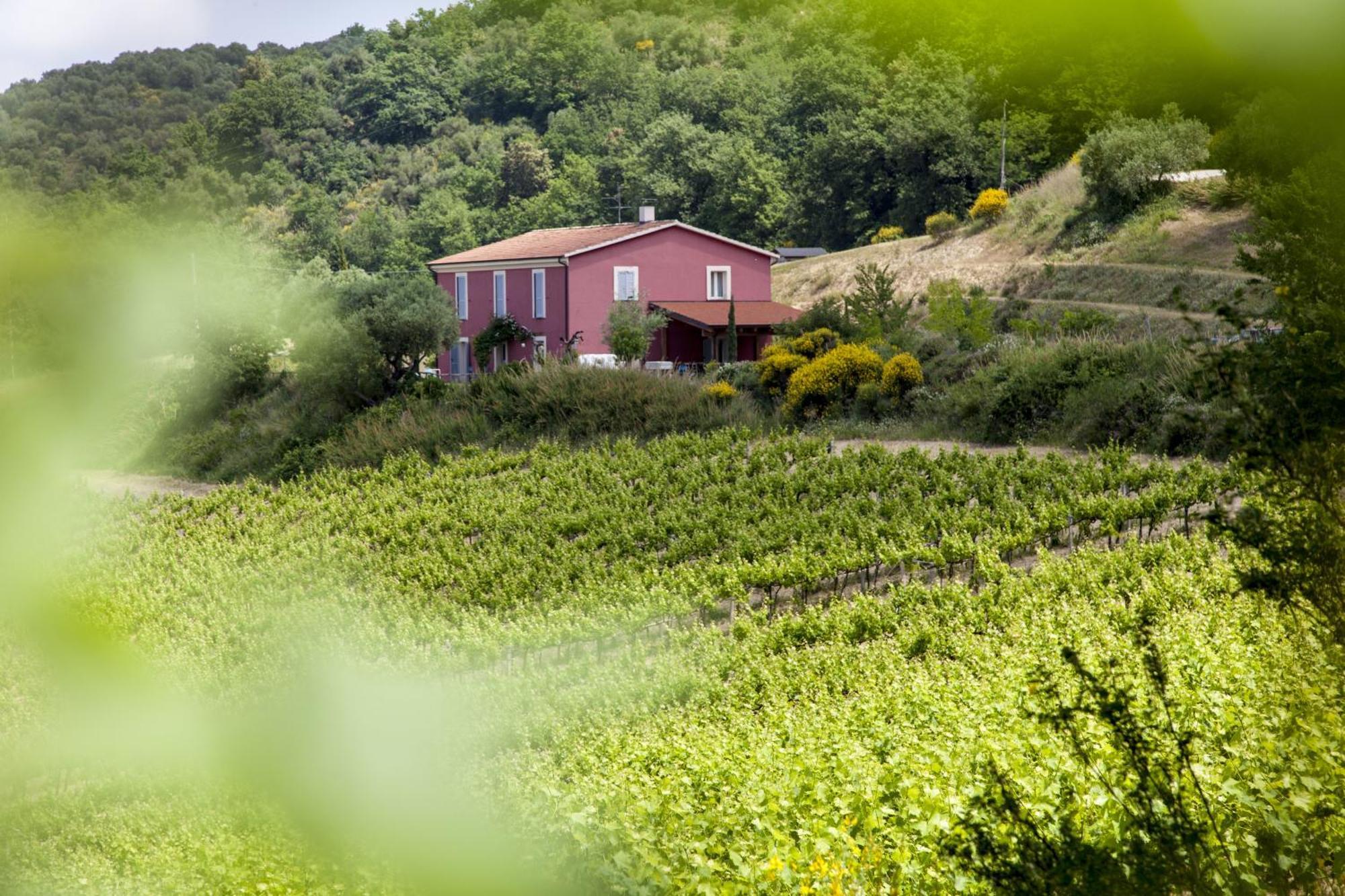 Agriturismo Campoletizia Miglianico Exteriér fotografie