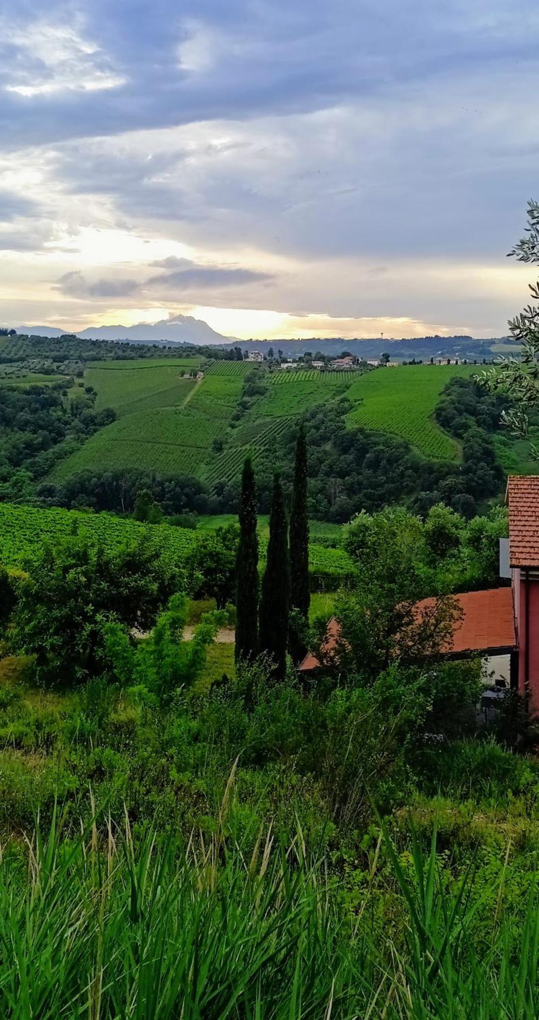 Agriturismo Campoletizia Miglianico Exteriér fotografie