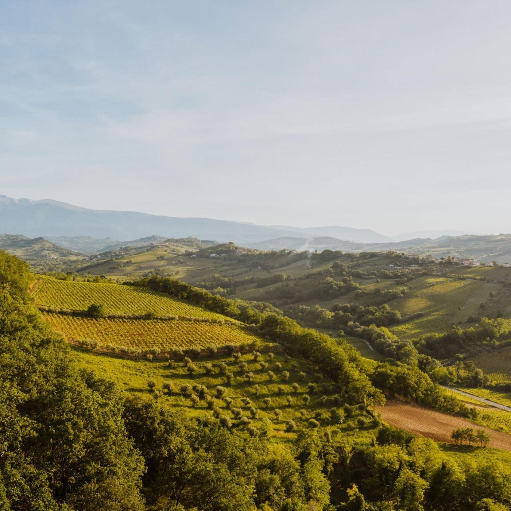 Agriturismo Campoletizia Miglianico Exteriér fotografie