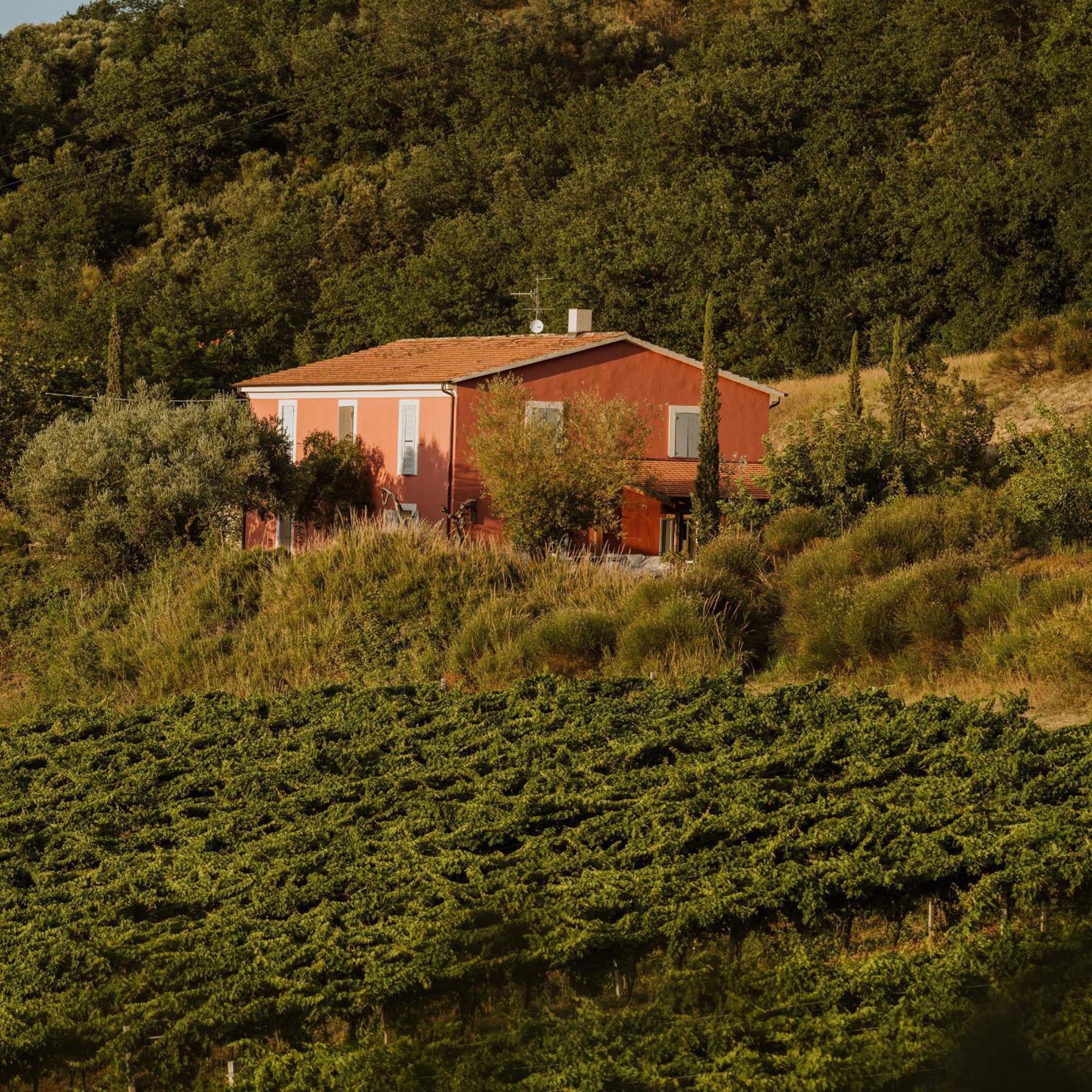 Agriturismo Campoletizia Miglianico Exteriér fotografie